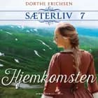 Hjemkomsten af Dorthe Erichsen