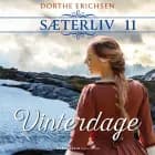 Vinterdage af Dorthe Erichsen