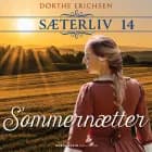 Sommernætter af Dorthe Erichsen