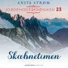 Skæbnetimen af Anita Strøm