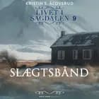 Slægtsbånd af Kristin S. Ålovsrud