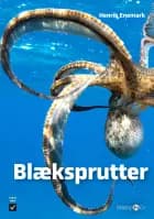 Blæksprutter af Henrik Enemark