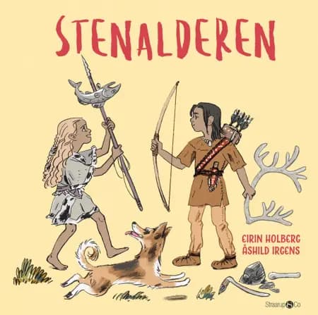 Stenalderen af Eirin Holberg