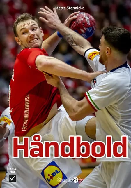 Håndbold af Mette Stepnicka