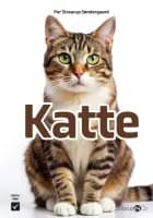 Katte af Per Straarup Søndergaard