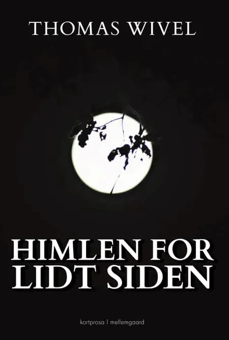 Himlen for lidt siden af Thomas Wivel