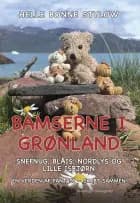 Bamserne i Grønland. Snefnug, Blåis, Nordlys og lille Isbjørn af Helle Bonne Stylow