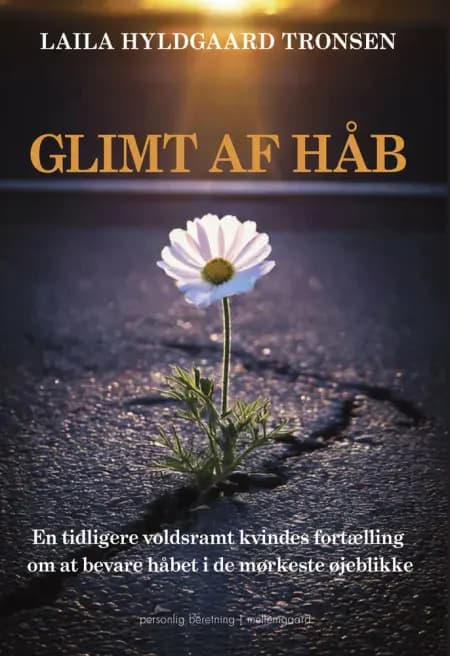 Glimt af håb af Laila Hyldgaard Tronsen