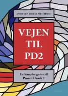 Vejen til PD2 af Andreea Doria Negruțiu