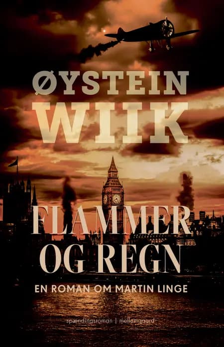 Flammer og regn af Øystein Wiik