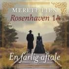 En farlig aftale af Merete Lien