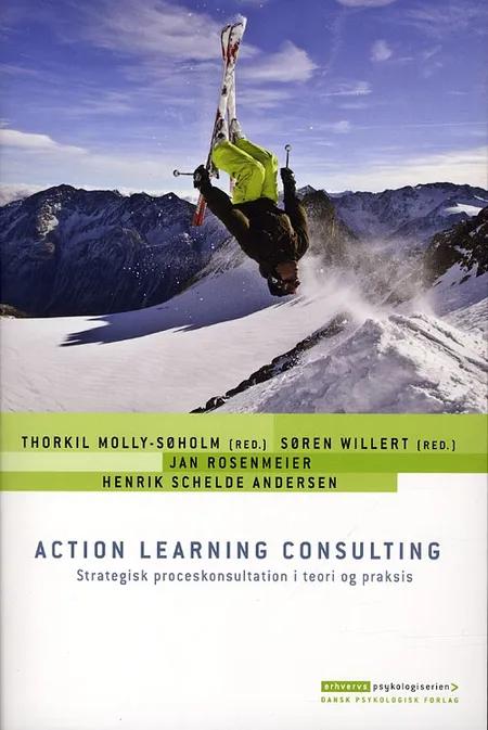 Action learning consulting af Thorkil Molly-Søholm