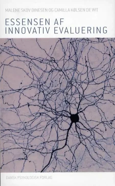 Essensen af innovativ evaluering af Malene Skov Dinesen