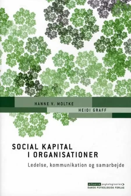 Social kapital i organisationer af Heidi Graff