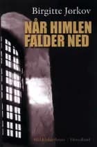 Når himlen falder ned af Birgitte Jørkov