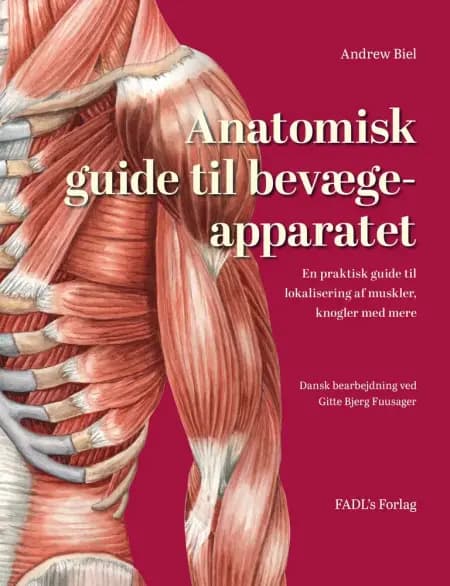 Anatomisk guide til bevægeapparatet af Gitte Bjerg Fuusager