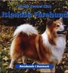Islandsk fårehund af Dansk Kennel Klub
