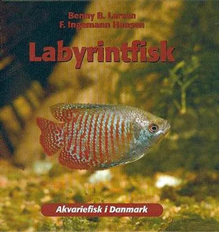 Labyrintfisk af Benny B. Larsen