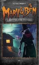 Den fæle fanden af Ingunn Aamodt