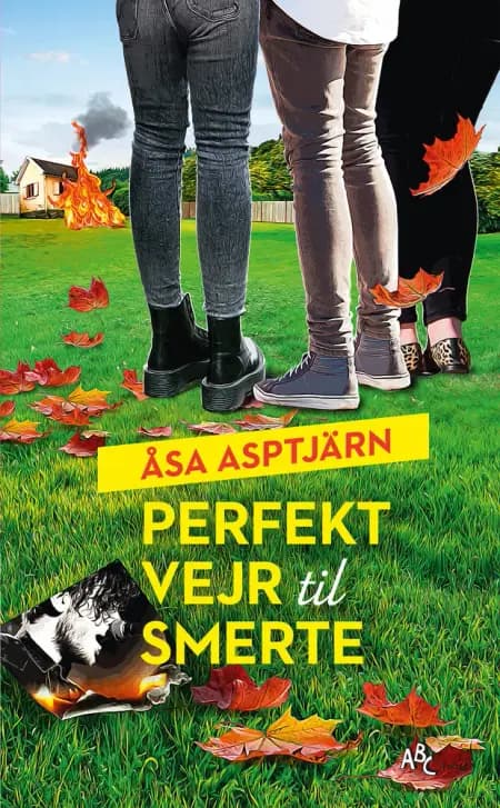 Perfekt vejr til smerte af Åsa Asptjärn