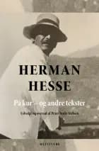 Vejen gennem kaos af Hermann Hesse