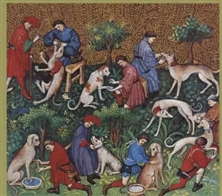 Hunden i historien af Rikke Agnete Olsen