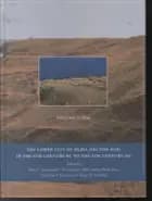 The lower city of Olbia (sector NGS)