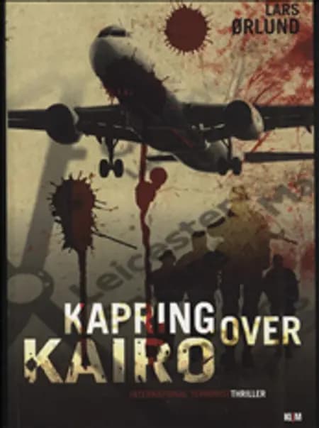 Kapring over Kairo af Lars Ørlund