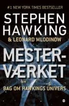 Mesterværket af Stephen Hawking og Leonard Mlodinow