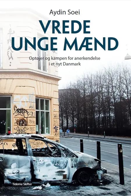 Vrede unge mænd af Aydin Soei