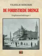 De forbistrede drenge af Vilhelm Bergsøe