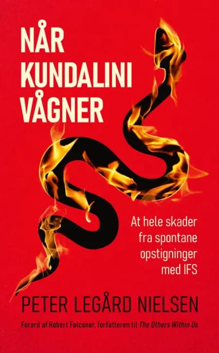 Når Kundalini vågner af Peter Legård Nielsen