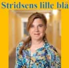 Stridsens lille blå af Marianne Stidsen