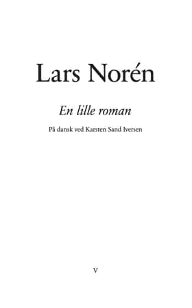En lille roman af Lars Norén