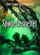Spøgelsesnettet af Inger Gammelgaard Madsen