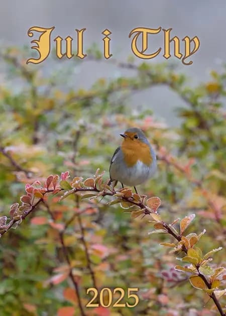 Jul i Thy 2025 af Museum Thy