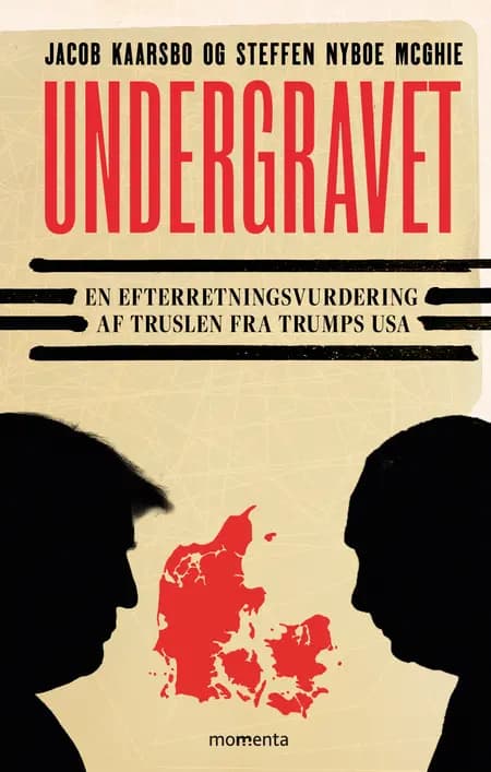 UNDERGRAVET af Steffen Nyboe McGhie