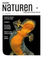 Magasinet Naturen Nr. 1 - 2024 af Morten Top og Klavs Holm