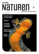 Magasinet Naturen Nr. 1 - 2024 af Morten Top og Klavs Holm