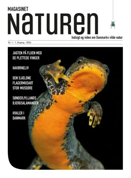Magasinet Naturen Nr. 1 - 2024 af Klavs Holm