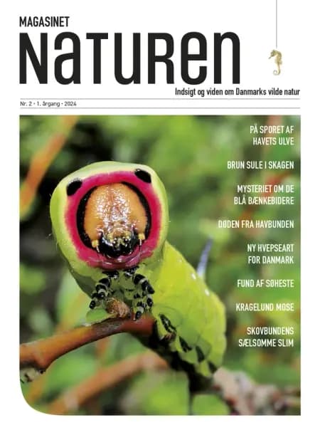 Magasinet Naturen Nr. 2 - 2024 af Klavs Holm