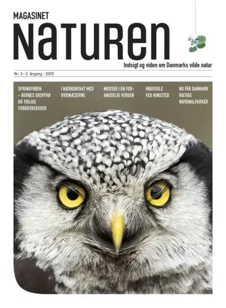 Magasinet Naturen Nr. 3 - 2025 af Klavs Holm