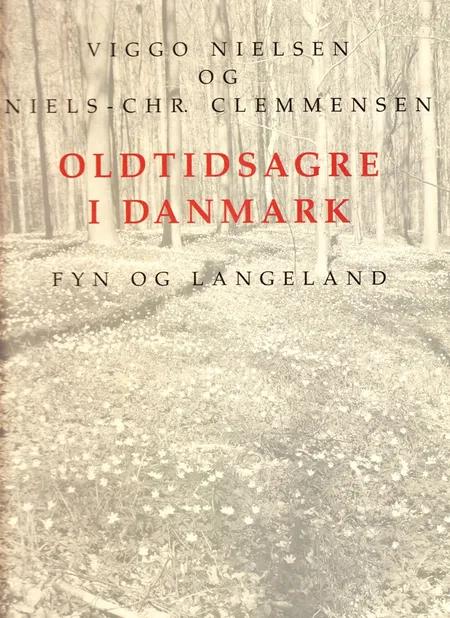Oldtidsagre i Danmark. Fyn og Langeland af Viggo Nielsen