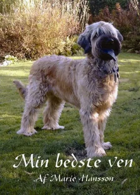 Min bedste ven af Marie Hansson