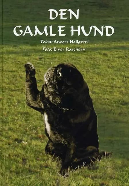 Den gamle hund af Anders Hallgren