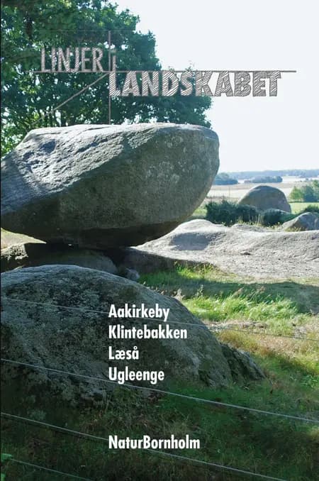 Linjer i Landskabet af NaturBornholm