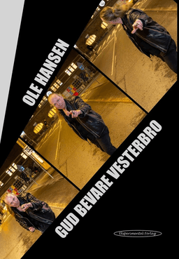 Gud Bevare Vesterbro af Ole Hansen