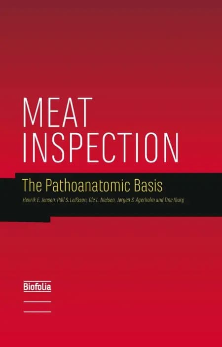 Meat Inspection af Páll S. Leifsson