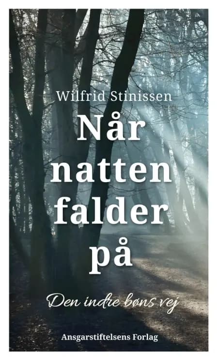 Når natten falder på af Wilfrid Stinissen