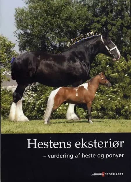 Hestens eksteriør af Jørgen Falk-Rønne